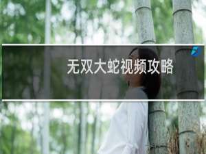 无双大蛇视频攻略