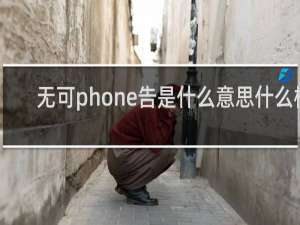 无可phone告是什么意思什么梗