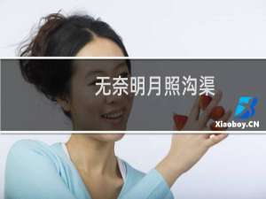 无奈明月照沟渠
