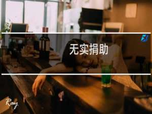 无实捐助(关于无实捐助的简介)