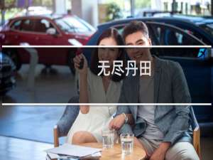 无尽丹田(关于无尽丹田的简介)