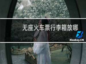 无座火车票行李箱放哪