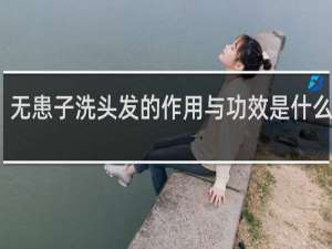 无患子洗头发的作用与功效是什么意思