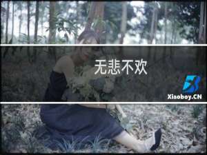 无悲不欢(关于无悲不欢的简介)