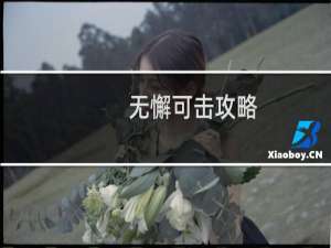 无懈可击攻略