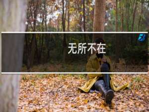 无所不在(关于无所不在的简介)