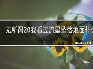 无所谓 我看过流星坠落地面什么梗