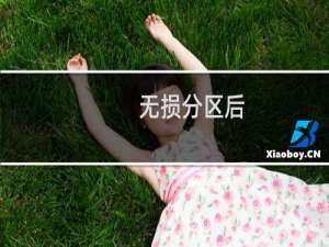 无损分区后，磁盘分区不见了怎么办