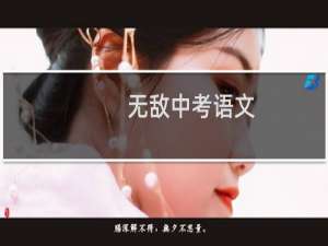 无敌中考语文(关于无敌中考语文的简介)