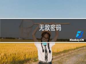 无敌密码(关于无敌密码的简介)