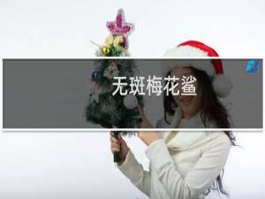 无斑梅花鲨(关于无斑梅花鲨的简介)