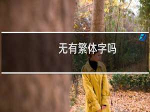 无有繁体字吗
