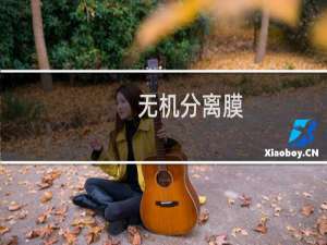 无机分离膜(关于无机分离膜的简介)