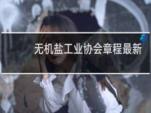 无机盐工业协会章程最新