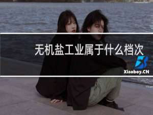 无机盐工业属于什么档次