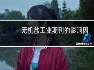无机盐工业期刊的影响因子