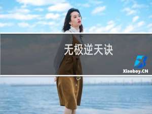 无极逆天诀(关于无极逆天诀的简介)
