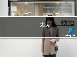 无灵(关于无灵的简介)