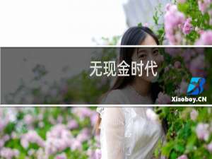 无现金时代(关于无现金时代的简介)