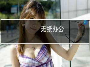 无纸办公(关于无纸办公的简介)