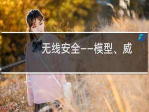 无线安全——模型、威胁和解决方案(关于无线安全——模型、威胁和解决方案的简介)