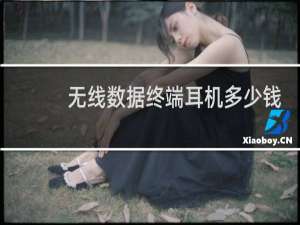 无线数据终端耳机多少钱