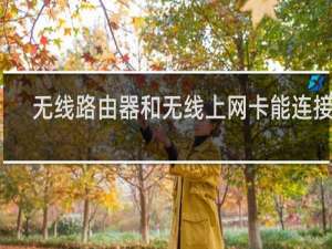 无线路由器和无线上网卡能连接吗