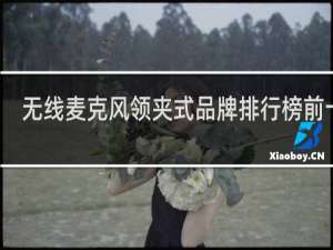 无线麦克风领夹式品牌排行榜前十名