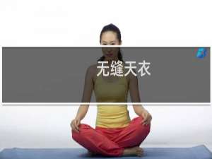 无缝天衣(关于无缝天衣的简介)