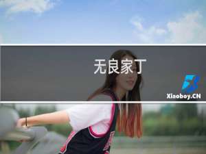 无良家丁(关于无良家丁的简介)