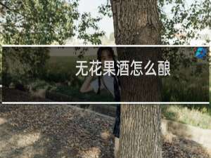 无花果酒怎么酿