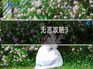 无言攻略3