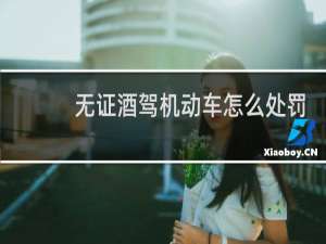 无证酒驾机动车怎么处罚