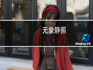 无象静照(关于无象静照的简介)