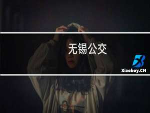 无锡公交(关于无锡公交的简介)