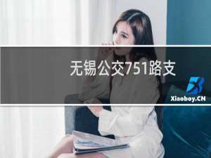 无锡公交751路支(关于无锡公交751路支的简介)
