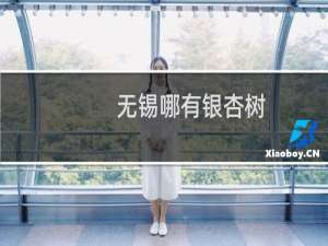 无锡哪有银杏树