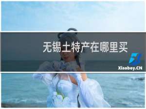无锡土特产在哪里买