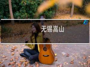 无锡嵩山(关于无锡嵩山的简介)