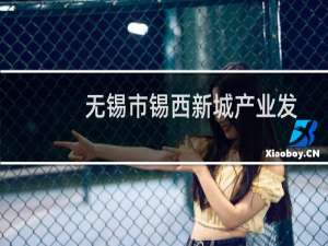 无锡市锡西新城产业发展集团有限公司(关于无锡市锡西新城产业发展集团有限公司的简介)