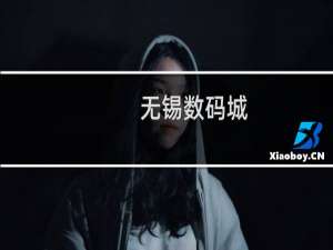 无锡数码城(关于无锡数码城的简介)