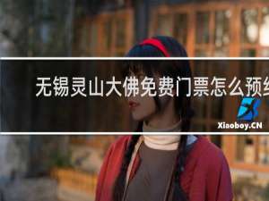 无锡灵山大佛免费门票怎么预约