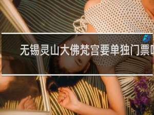 无锡灵山大佛梵宫要单独门票吗