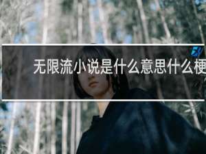 无限流小说是什么意思什么梗