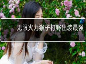 无限火力猴子打野出装最强