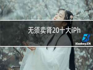 无须卖肾 十大iPhone代替品来啦