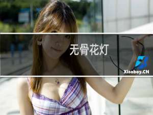 无骨花灯(关于无骨花灯的简介)