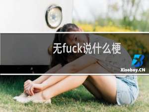 无fuck说什么梗