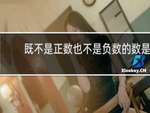 既不是正数也不是负数的数是