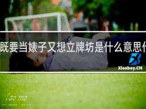 既要当婊子又想立牌坊是什么意思什么梗